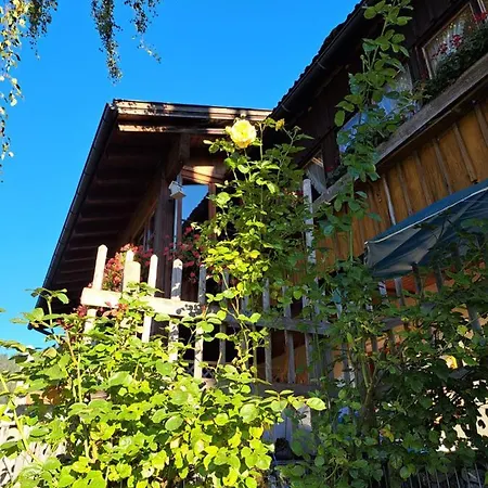 Gipfelstuermer *