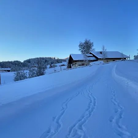 Gipfelstuermer Apartmán Gunzesried